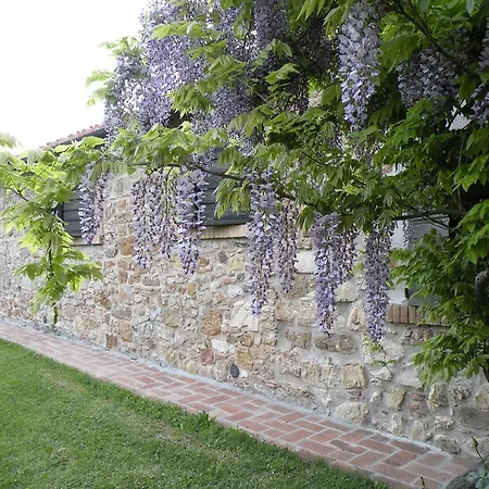 Podere Casetta * Monterotondo (Tuscany)