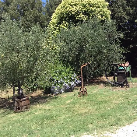 Podere Casetta * Monterotondo (Tuscany)
