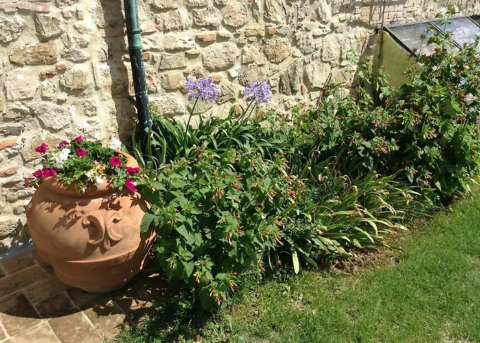 Podere Casetta Monterotondo (Tuscany)