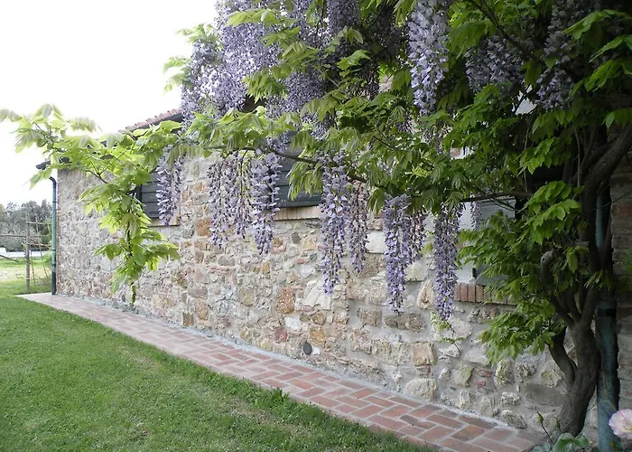 Podere Casetta * Monterotondo (Tuscany)