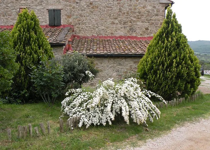 Podere Casetta * Monterotondo (Tuscany)