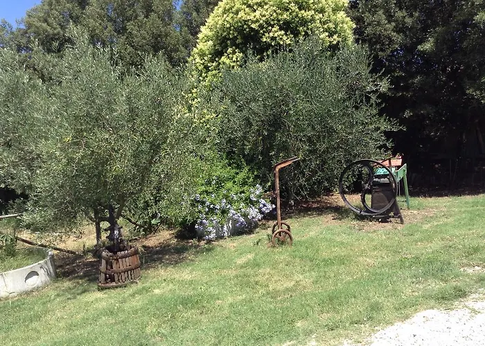 Podere Casetta * Monterotondo (Tuscany)